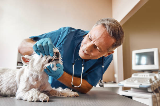 Best Mobile Emergency Dentist in Fairfield, CA